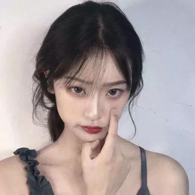 恒星的狐狸手机版下载