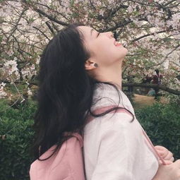 契约战记测试版下载