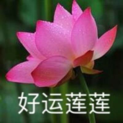我的蛇啊手机版下载
